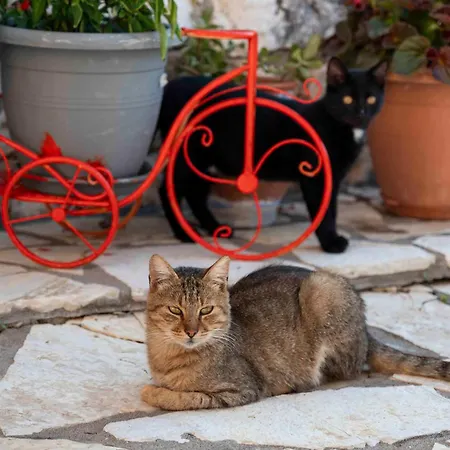 San Lazzaro Nydri (Lefkada)