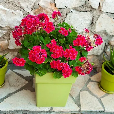 San Lazzaro Appart hôtel 4*